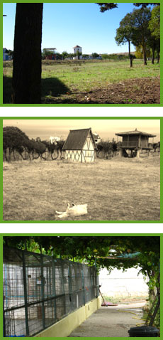 Fotos de la guardería